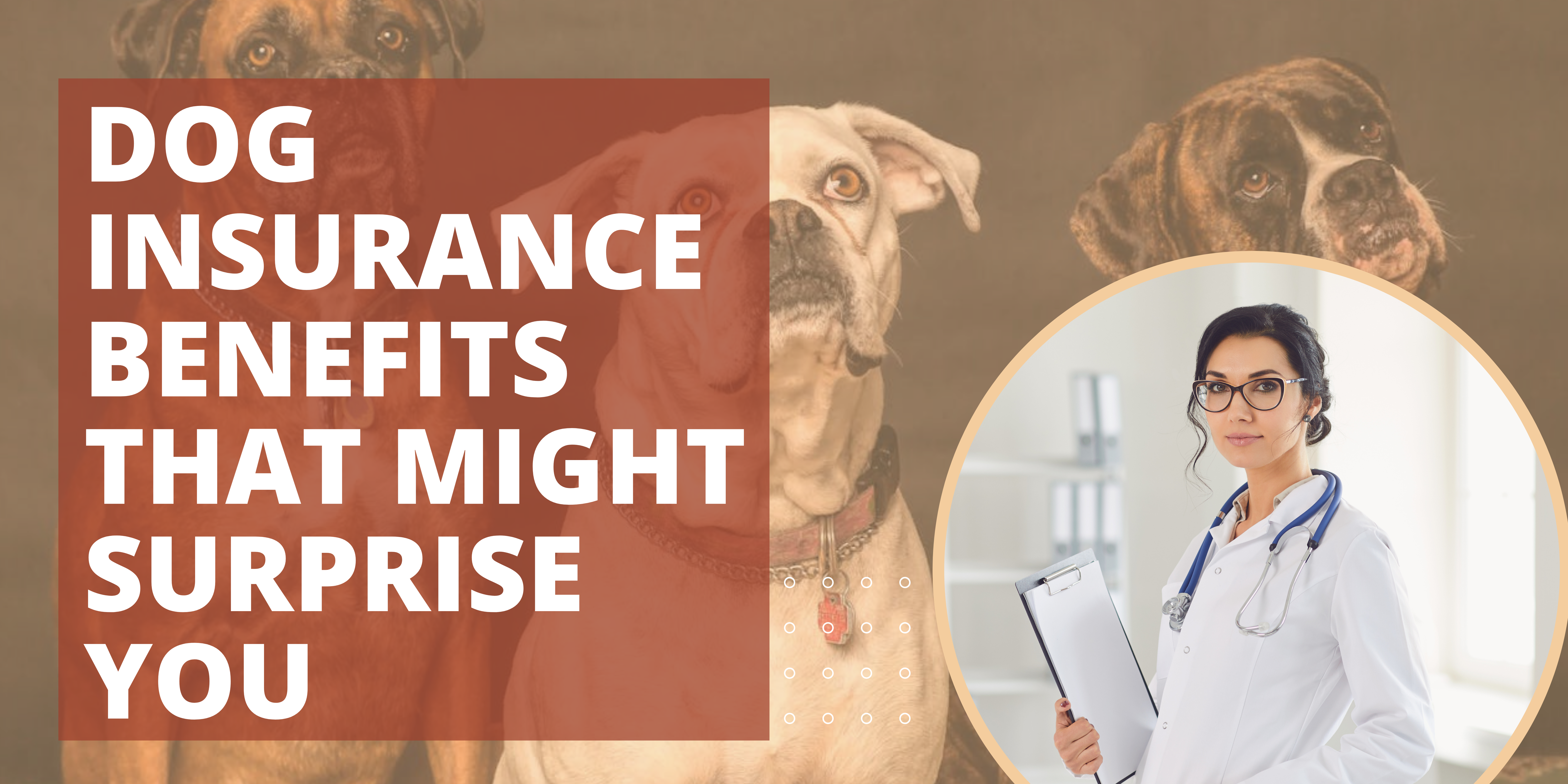 Dog Insurance Benefits That Might Surprise You