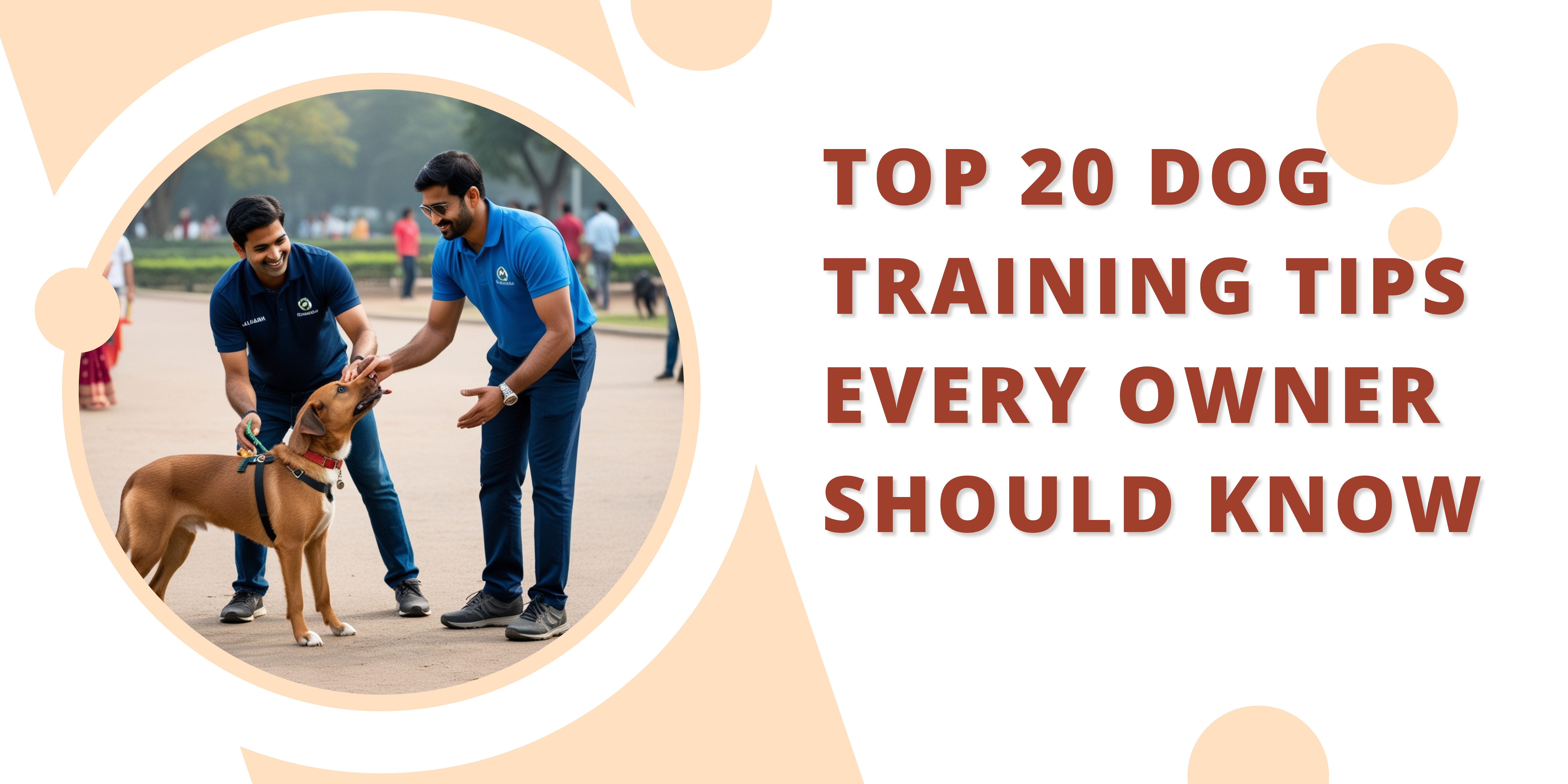 Top 20 Dog Training Tips Every Owner Should Know