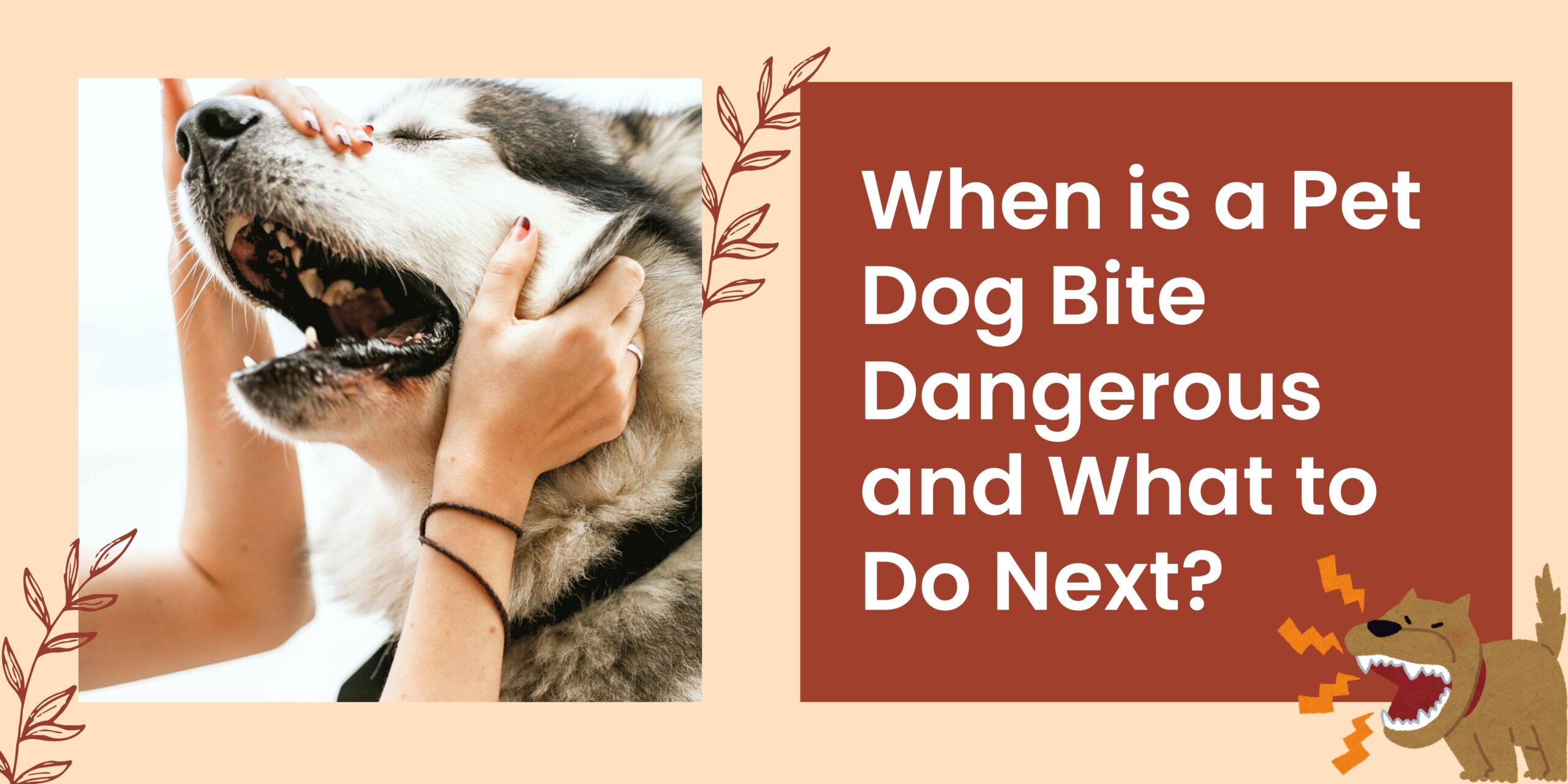 When is a Pet Dog Bite Dangerous? What to Do Next?