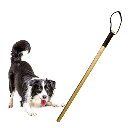 Jainsons Dog Training Stick 