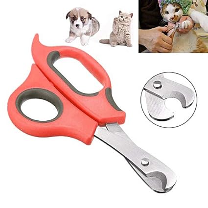 Sage Square Dog Nail Cutter