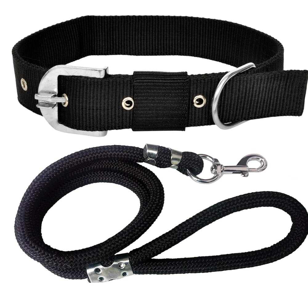 dog collars