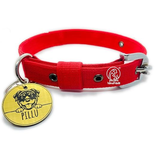 PAWPRO HANDMADE Personalized Red