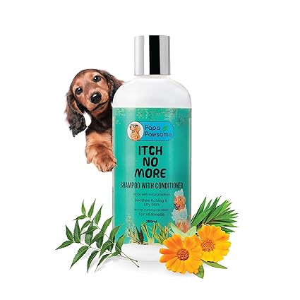 Papa Pawsome Itch No More 2-in-1 Dog Shampoo & Conditioner