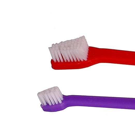 The Pets Company Cleaning Dental Toothbrush Set