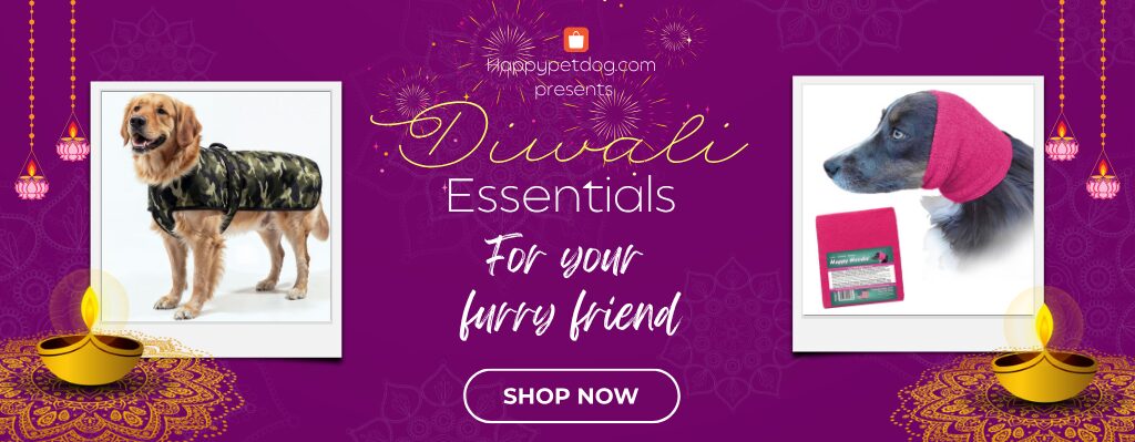 Diwali essentials- dog jackets and dog ear muff
