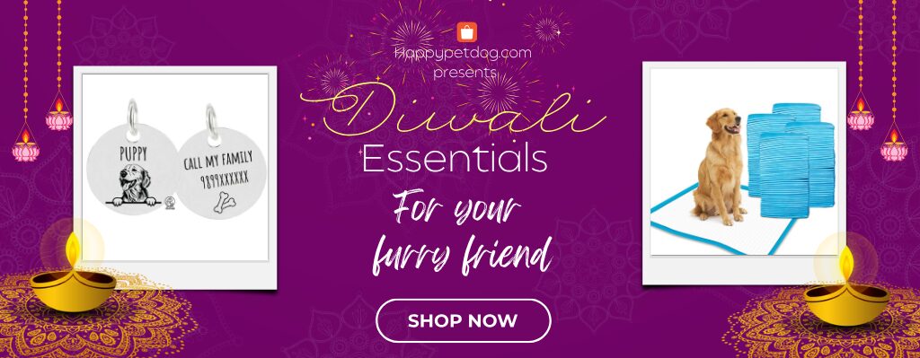 Diwali essentials- dog name tag, dog hygiene
