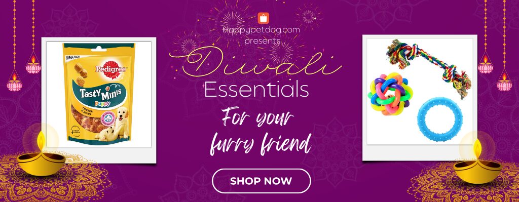 Diwali essentials- dog treat, dog toy
