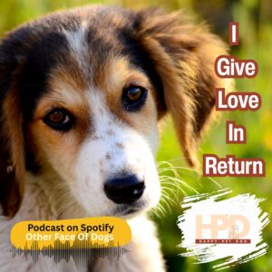 dog talks Parthasarathy part 1