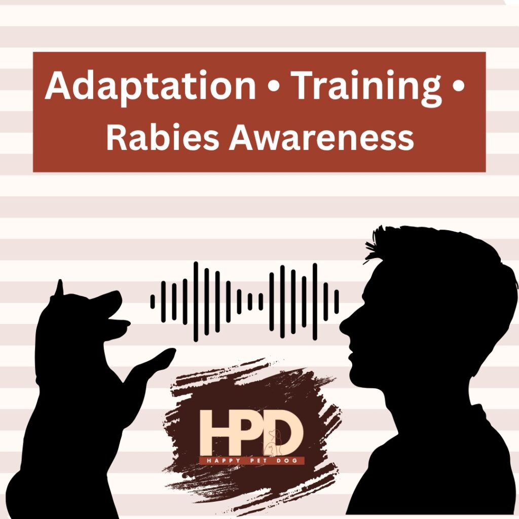 Dog Talks with Dog Trainer Nandha Kumar - Adaption-Training-Rabies Awareness