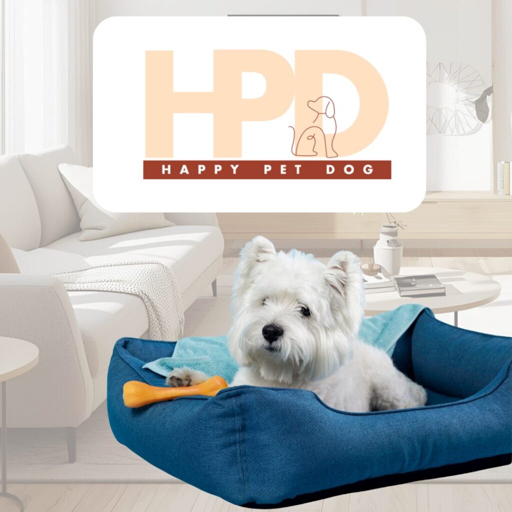 Dog Talks with Dog Trainer Nandha Raj Mohan - part2 - dog breeds for Apartment 