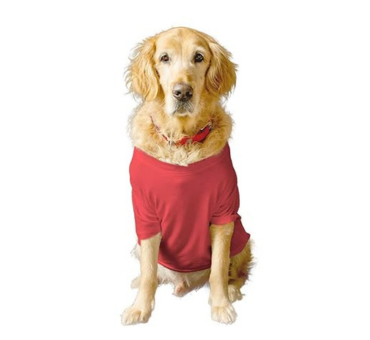Summer Dog T-Shirt