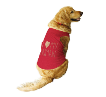 Ruse Summer Dog T-Shirt