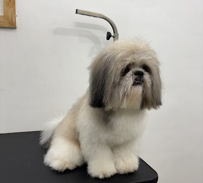 Zutail-Pet grooming