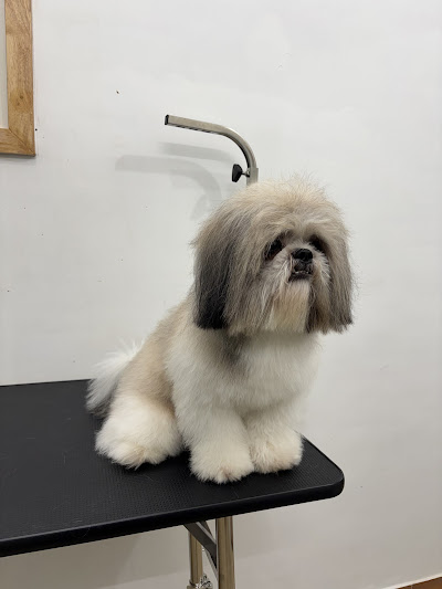 Zutail-Pet grooming