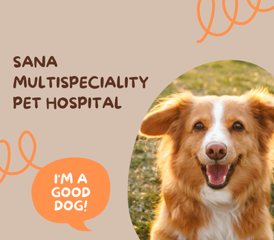 Mobile pet grooming service (1)