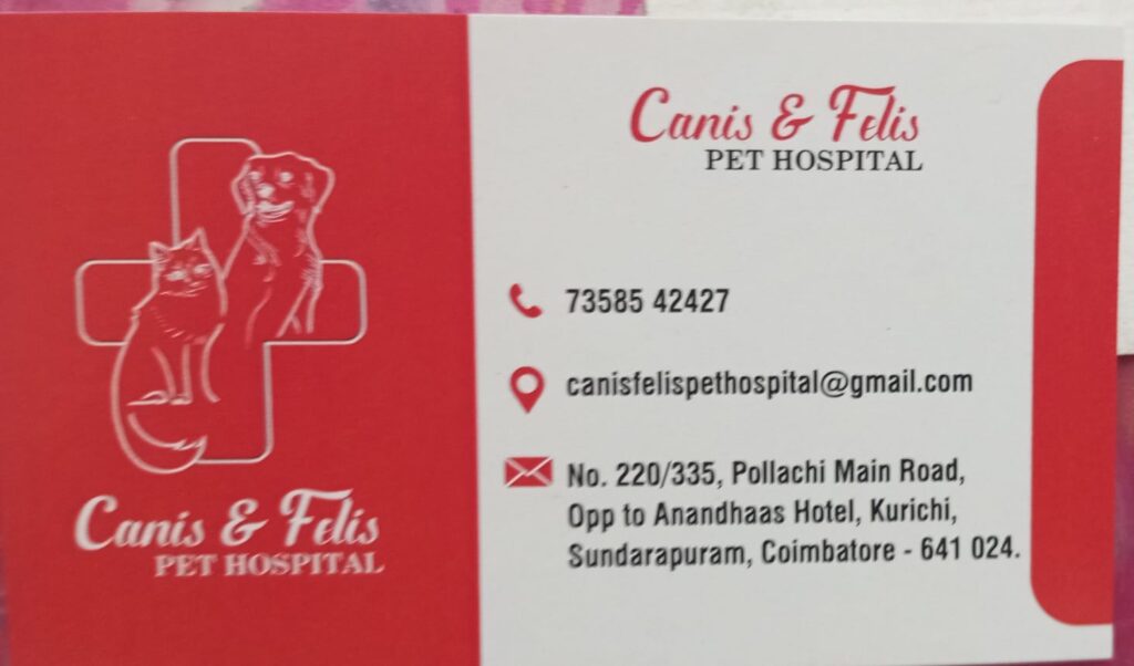 canis-flies-pet-hospital