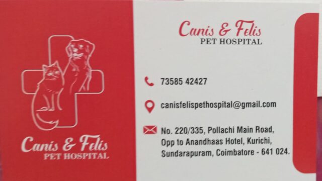 canis-flies-pet-hospital