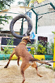 AF1QipOm_xFSLaynpjGZB_5IjARunHDbhfH333Mv8ZxYw80-h120-k-no.jpg