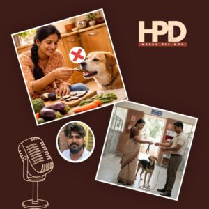 Dog-food-mistakes-you-must-avoid