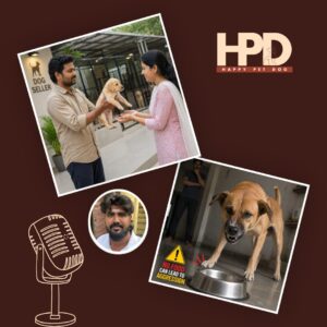 dog-aggression-mistakes-new-owners-must-avoid