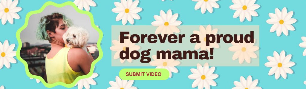 Dog mom's day contest 2026