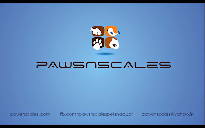paws and scale