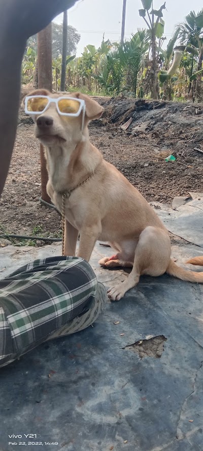suraksha k9