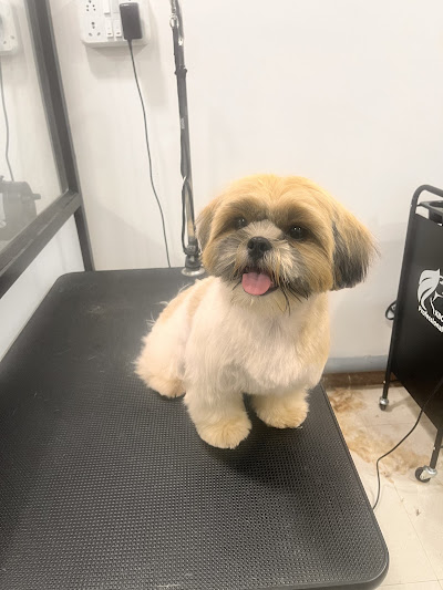 tails and pet grooming
